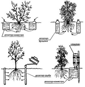 схема капельного полива под корень растения